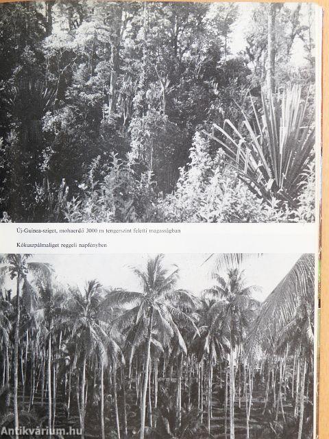 Ausztrália, Óceánia, Antarktisz