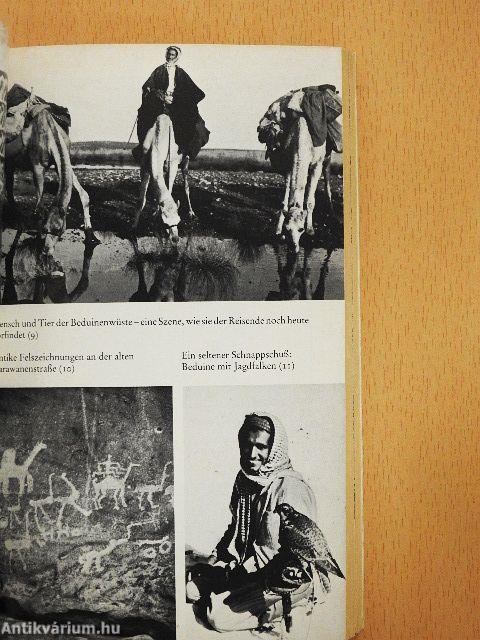 Die Araber und ihre Welt 