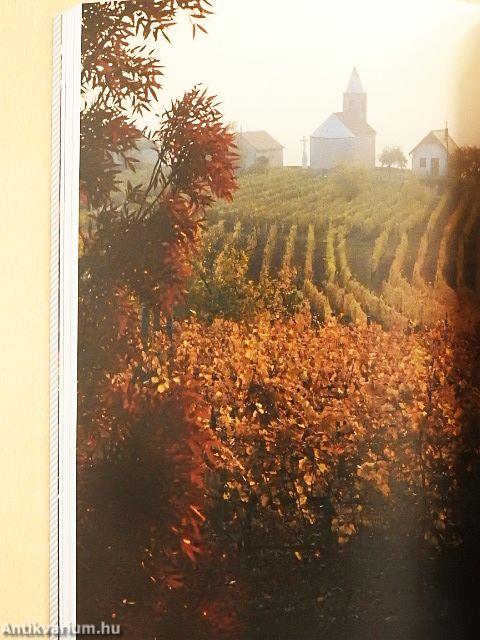 Borkedvelők kézikönyve