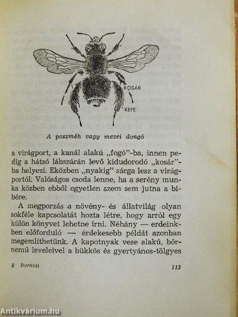 Az erdő élete