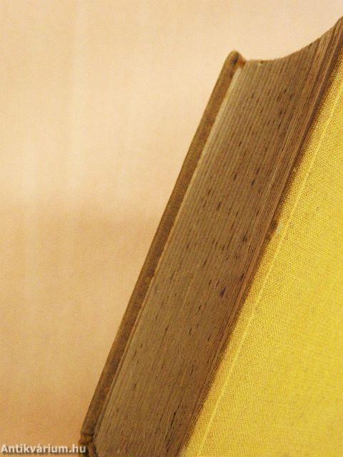 Csordás voltam Paraguayban