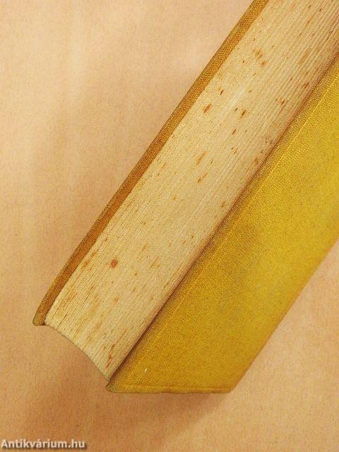 Csordás voltam Paraguayban