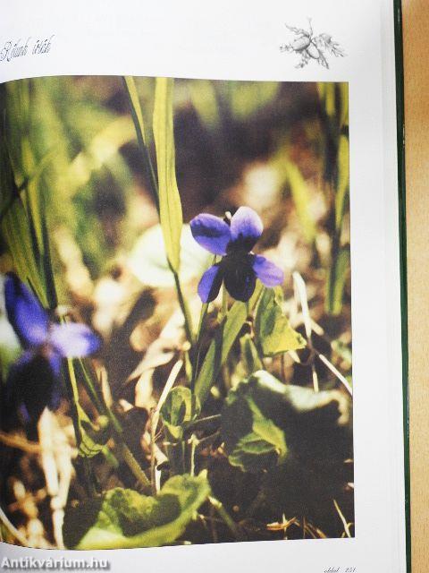 Millenniumi vadászati Almanach - Baranya megye 2000