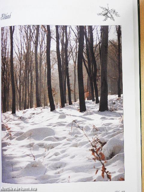 Millenniumi vadászati Almanach - Baranya megye 2000