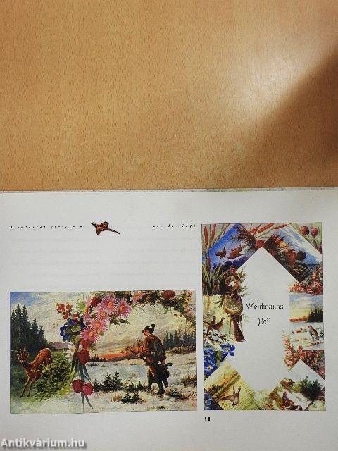 Régi képeslapok mesélnek a vadászatról