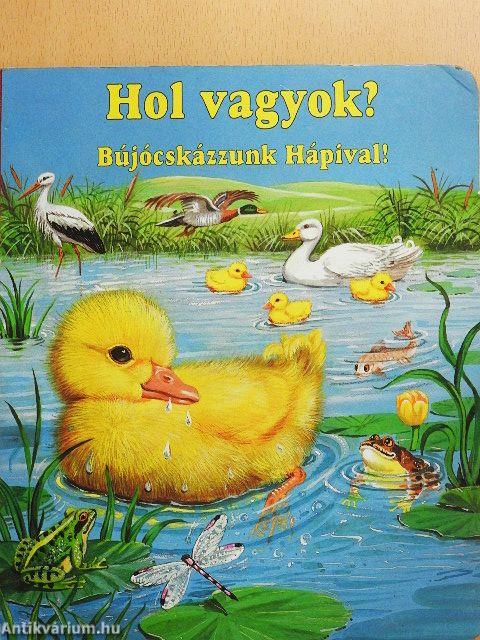 Hol vagyok?