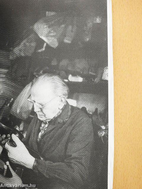 Insider's Hungary 1995