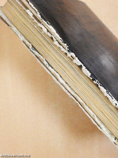 Közép- és Dél-Amerika