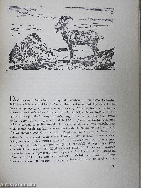 Az ősember tábortüzeinél