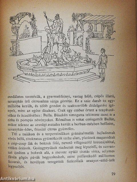 A párduc