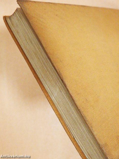 Egy szerelem története