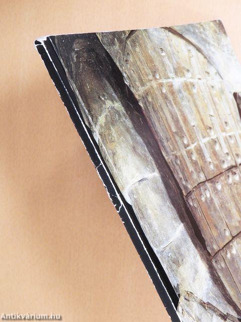 Az első kínai császár cseréphadserege