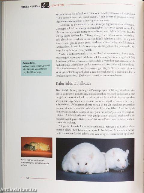 Mindentudás Egyeteme 3.