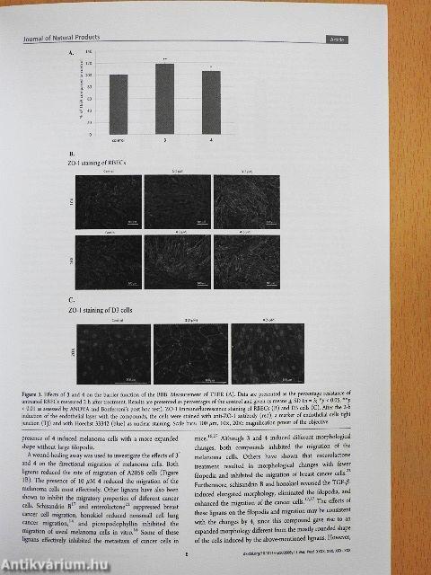 An ethnopharmacological survey conducted in the Bolivian Amazon, and identification of N-alkylamides and lignans from Lepidium meyenii and Heliopsis helianthoides var. scabra with effect on the central nervous system