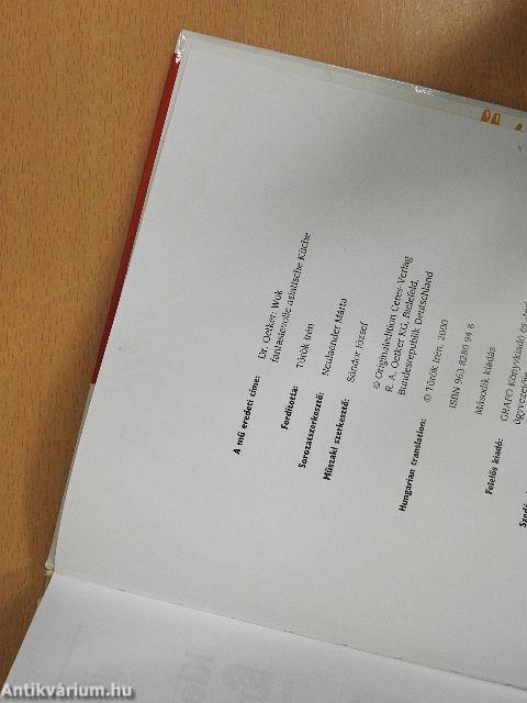 Wok - fantáziadús ázsiai konyha