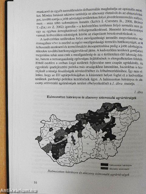 Gazdasági és piaci stratégiák a vidékfejlesztés szolgálatában