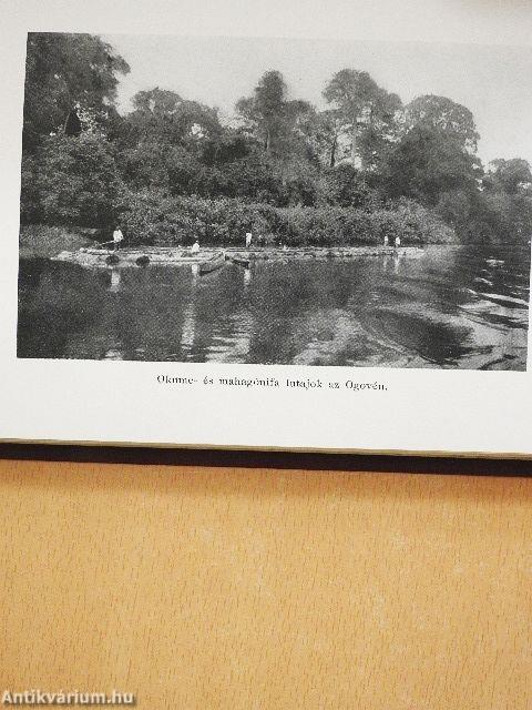 Orvos az őserdőben