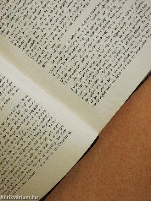 Rom beim Ausgang der antiken Welt (gótbetűs)