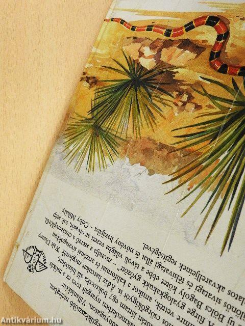 A gyalogkakukk sivatagja