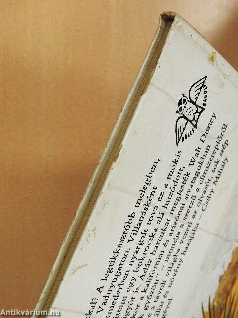 A gyalogkakukk sivatagja