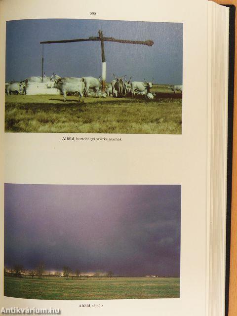 Révai új lexikona 1-18.