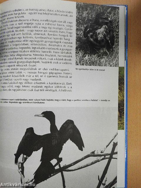 Ezer sziget országa