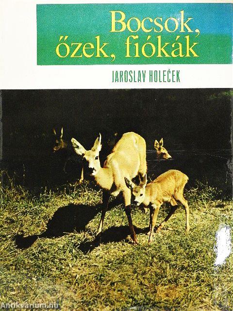 Bocsok, őzek, fiókák