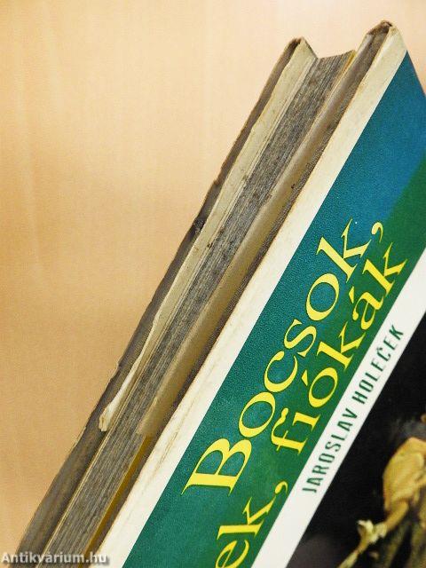 Bocsok, őzek, fiókák