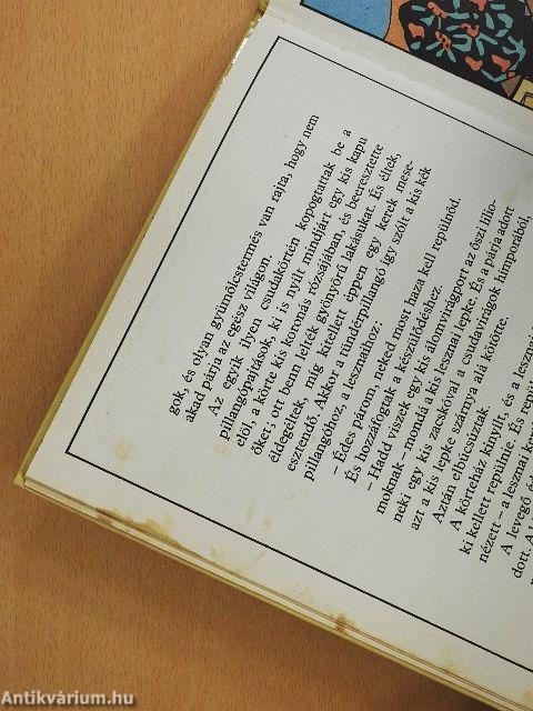 A kis pillangó utazása Lesznán és a szomszédos Tündérországban