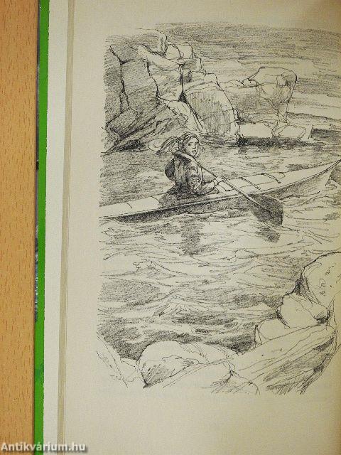 Versenyló a pácban