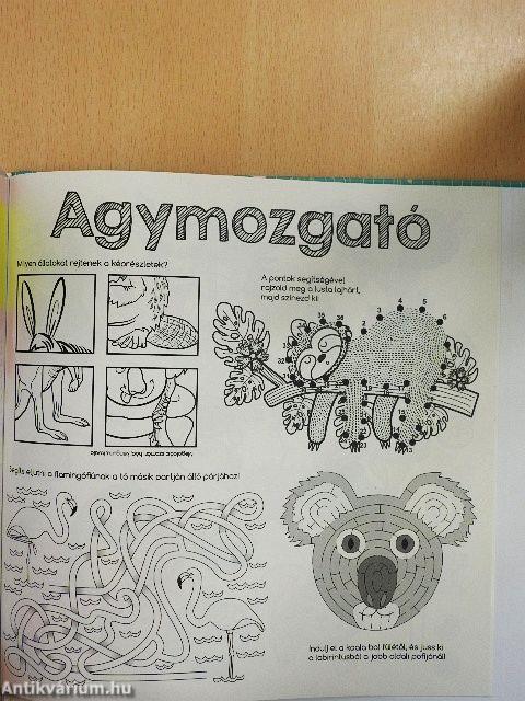 Koalák, sellők és más cukiságok