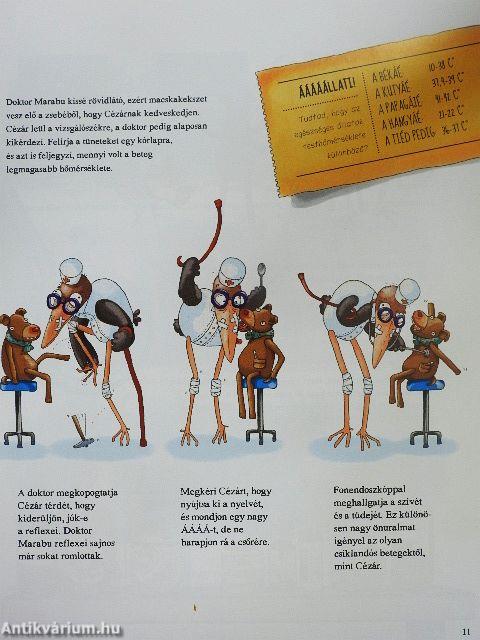 A Fásli Utcai Állatkórház