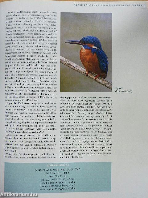 A magyarországi vadvizek világa