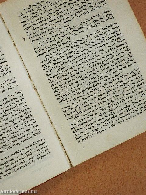 Zola élete, munkája, küzdelme