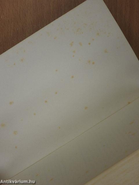 Die Frau im Pelzmantel