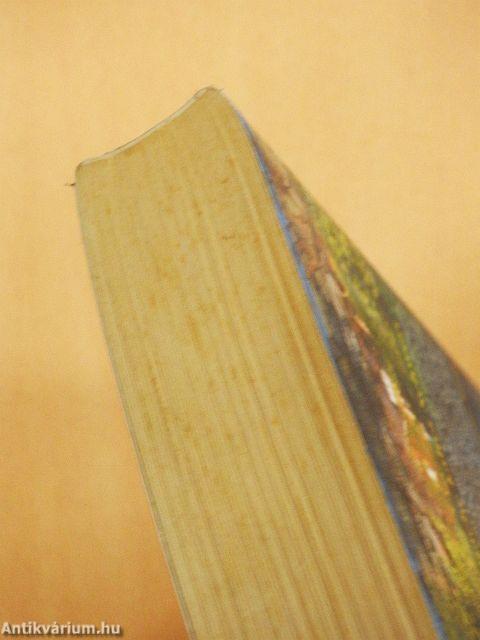 Der Rache kaltes Schwert