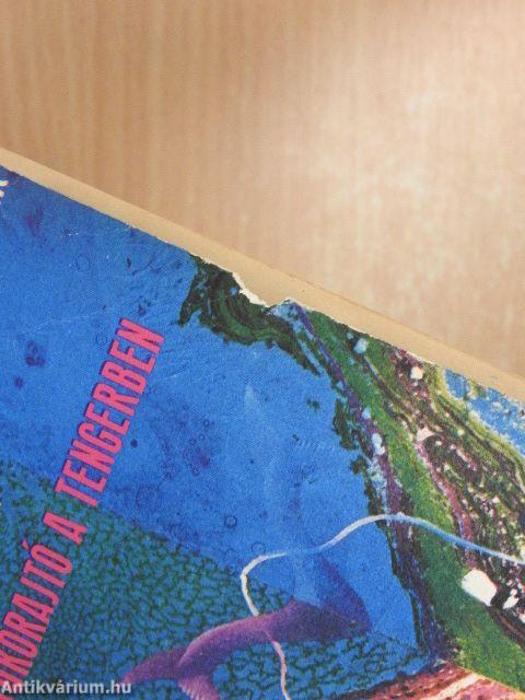 Tükörajtó a tengerben