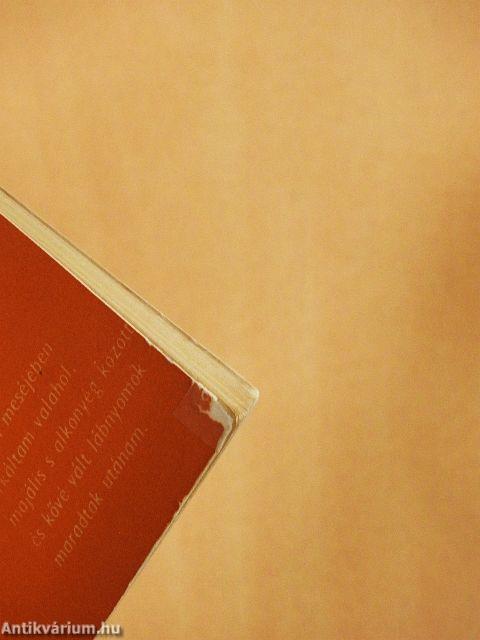 Egyes szám negyedik személy