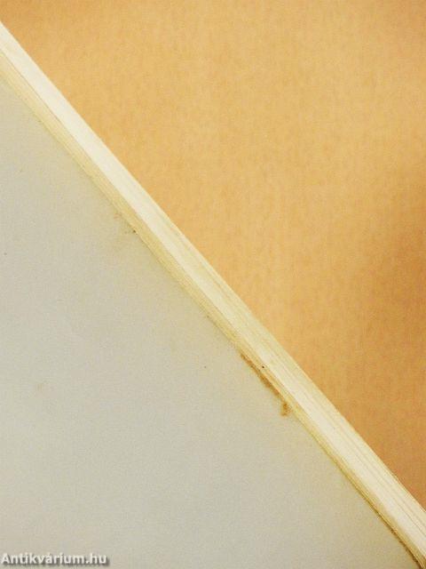 Neutronaktiválásos vizsgálatok