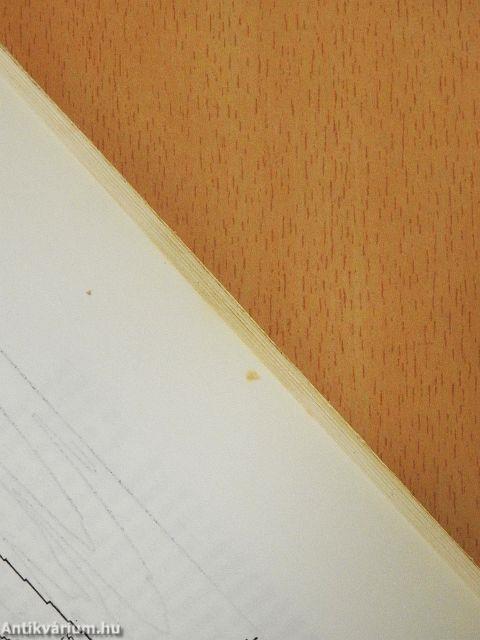 Neutronaktiválásos vizsgálatok