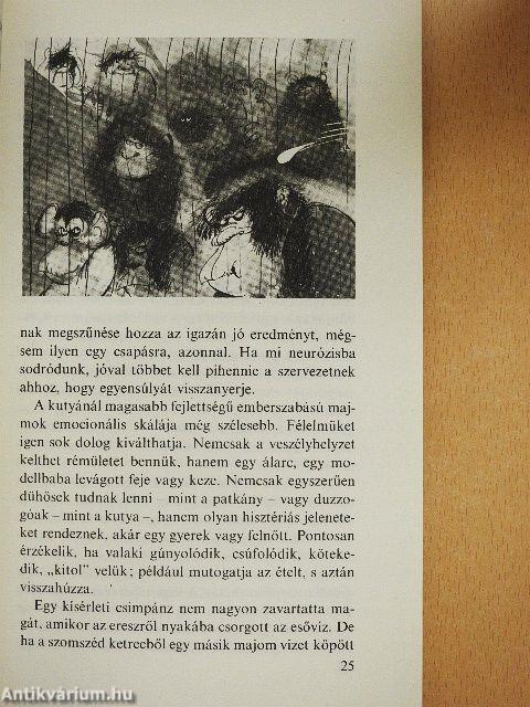 Találkozás önmagunkkal