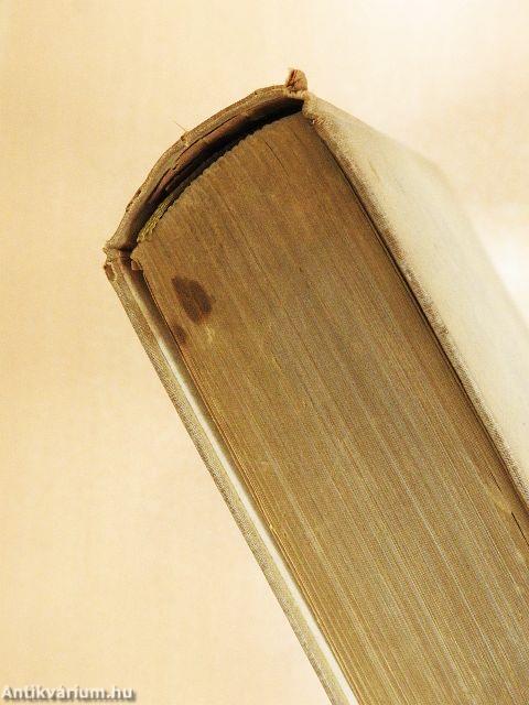 Stürmischer Frühling (gótbetűs)