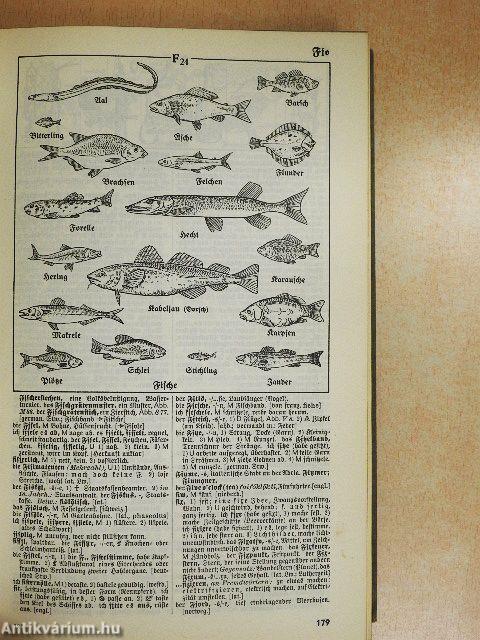 Der Sprach-Brockhaus (gótbetűs)