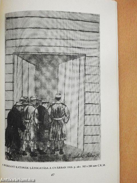 "A magyar Rousseau?"