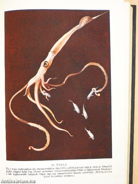 Félmérföldnyire a tenger színe alatt