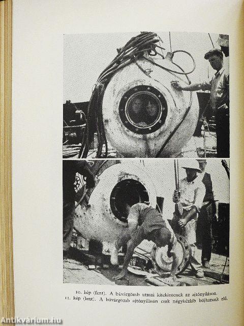 Félmérföldnyire a tenger színe alatt