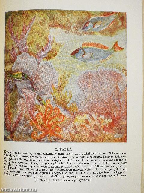 Félmérföldnyire a tenger színe alatt