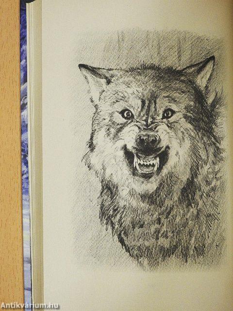 Kristálytáncok tele