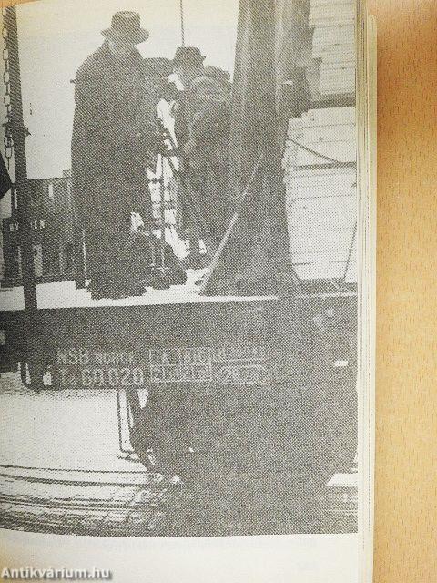 Háromezer kilométer spagetti