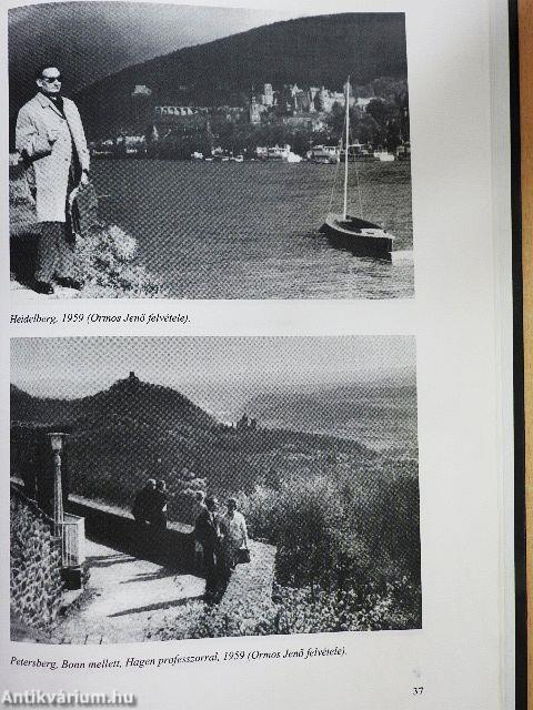 Dr. Korpássy Béla egyetemi tanár (1907-1961) a Kórbonctani és Kórszövettani Intézet egykori tanszékvezetőjének munkássága